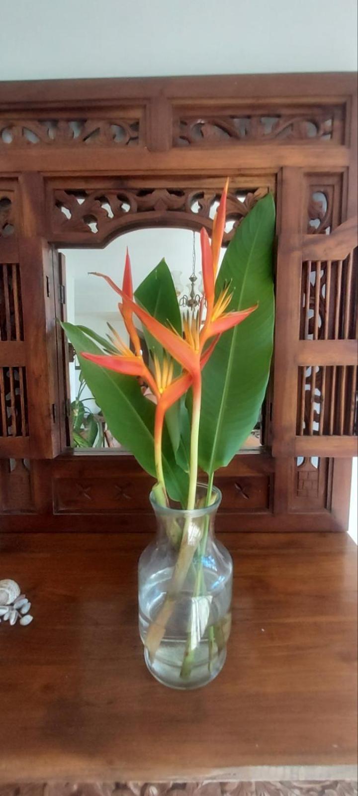 Residence71Nadi Fiji 外观 照片