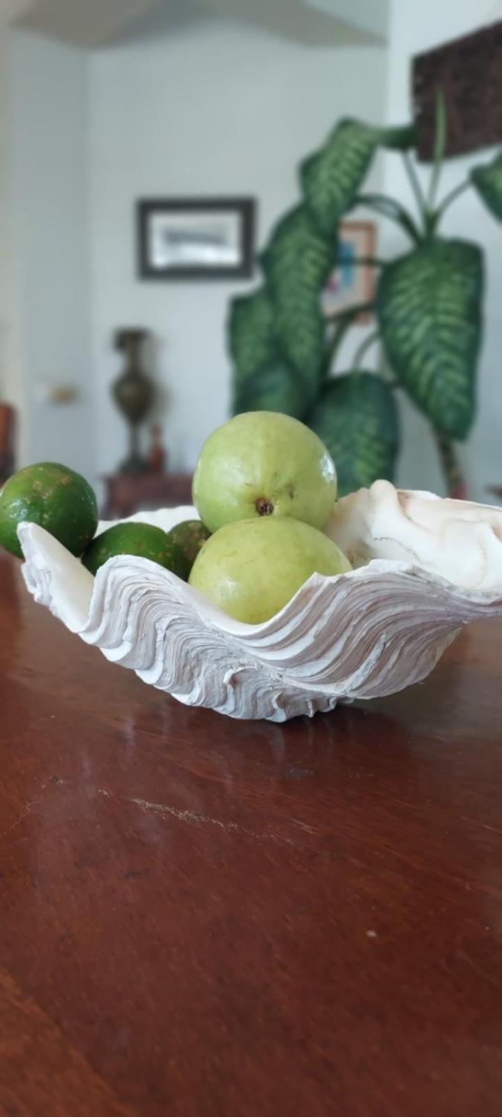 Residence71Nadi Fiji 外观 照片